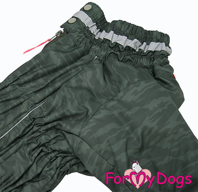 ForMyDogs      ,  ,   (,  2)