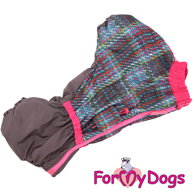 ForMyDogs    -   (,  2)