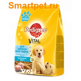 Pedigree        2   (,  1)