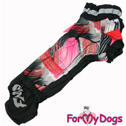 ForMyDogs     -   