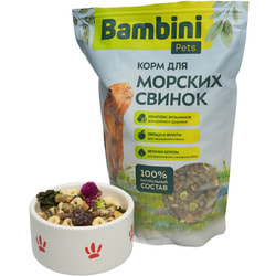 Bambini Pets    